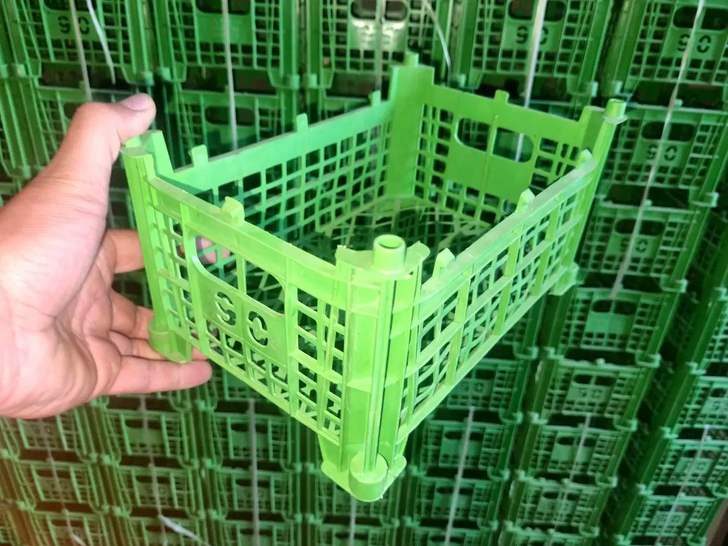 سبد|ظروف نگهدارنده، پلاستیکی، یکبارمصرف|بهار, |دیوار