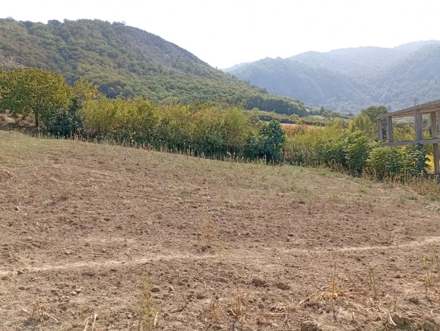 فروش زمین|فروش زمین و ملک کلنگی|صادق آباد, |دیوار