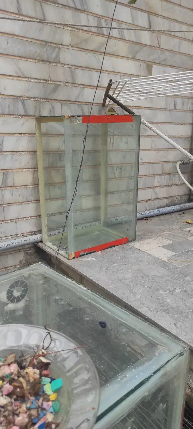 فروش چهار عدد آکواریوم که یکیش ماهی گپی داره|ماهی|تبریز, |دیوار