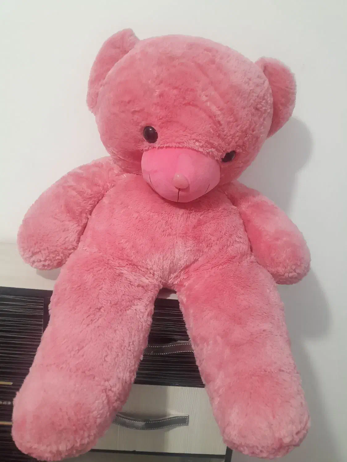 عروسک مخمل 2 عدد|اسباب‌بازی بچه|هشتگرد, شهرک ریحانه|دیوار