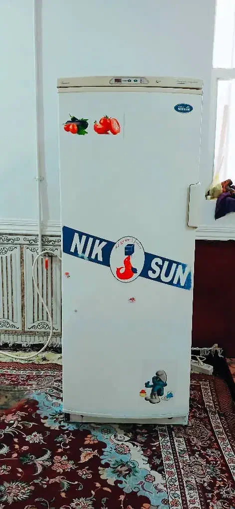 تعمیرات  آبگرم کن و یخچال وکولر خسروی|خدمات پیشه و مهارت|ایذه, |دیوار