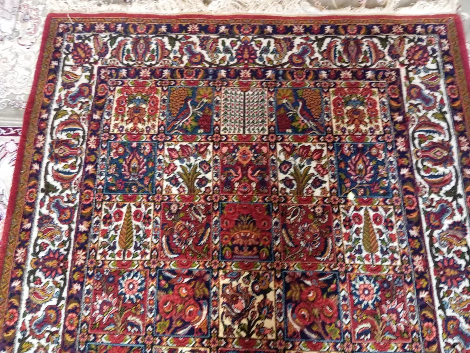 فوری|فرش|سامان, |دیوار