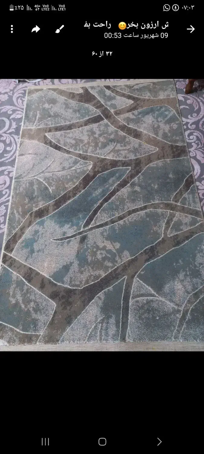 قالیچه تمیز و سالم|فرش|تهران, هفت حوض|دیوار