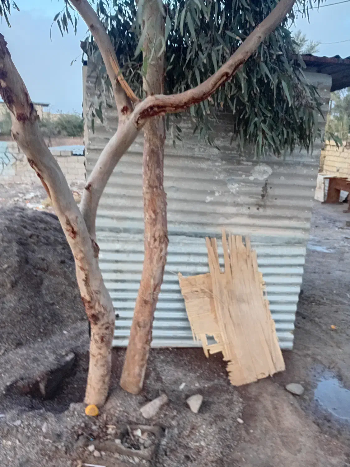 کانکس نگهبانی|مصالح و تجهیزات ساختمان|بم, |دیوار