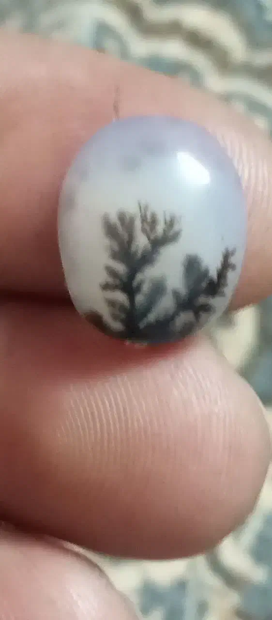 سنگ شجر|جواهرات|زنجان, |دیوار