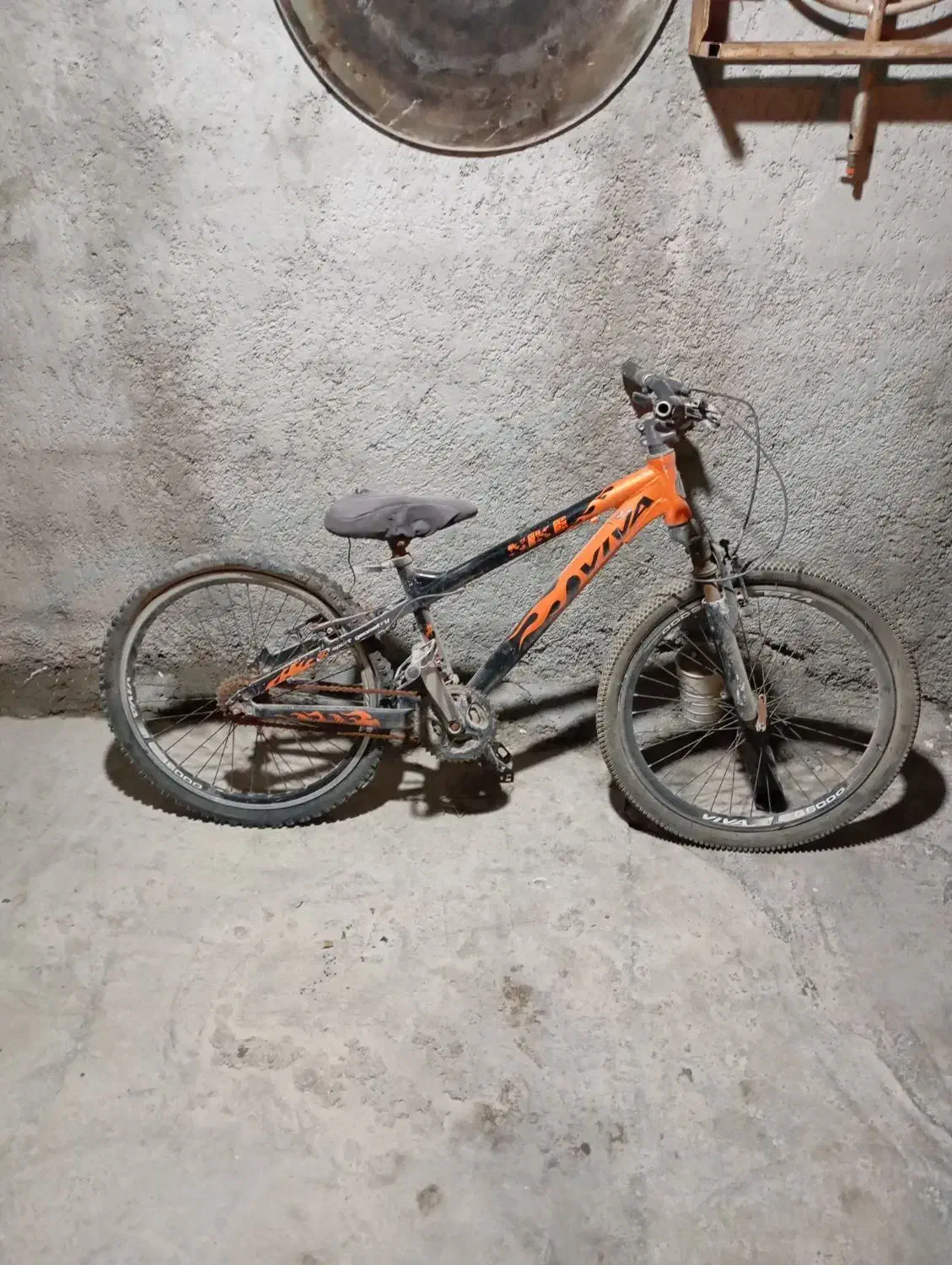 دوچرخه ویوا|دوچرخه، اسکیت، اسکوتر|برازجان, |دیوار