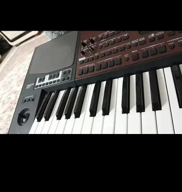 pa700 or|پیانو، کیبورد، آکاردئون|مشهد, آزادشهر|دیوار