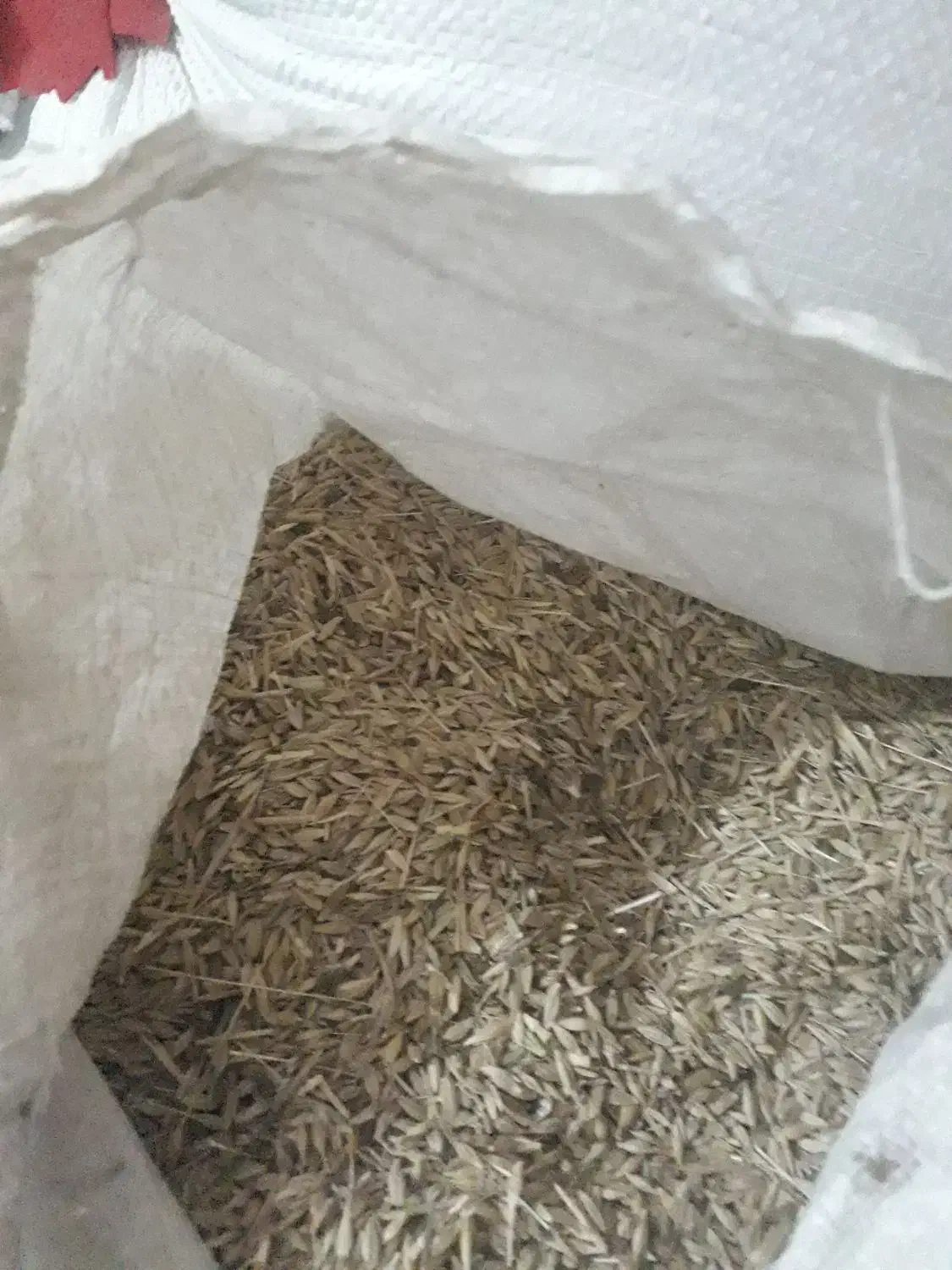 جو شش پر|خدمات باغبانی و درختکاری|اهواز, کمپلو جنوبی|دیوار