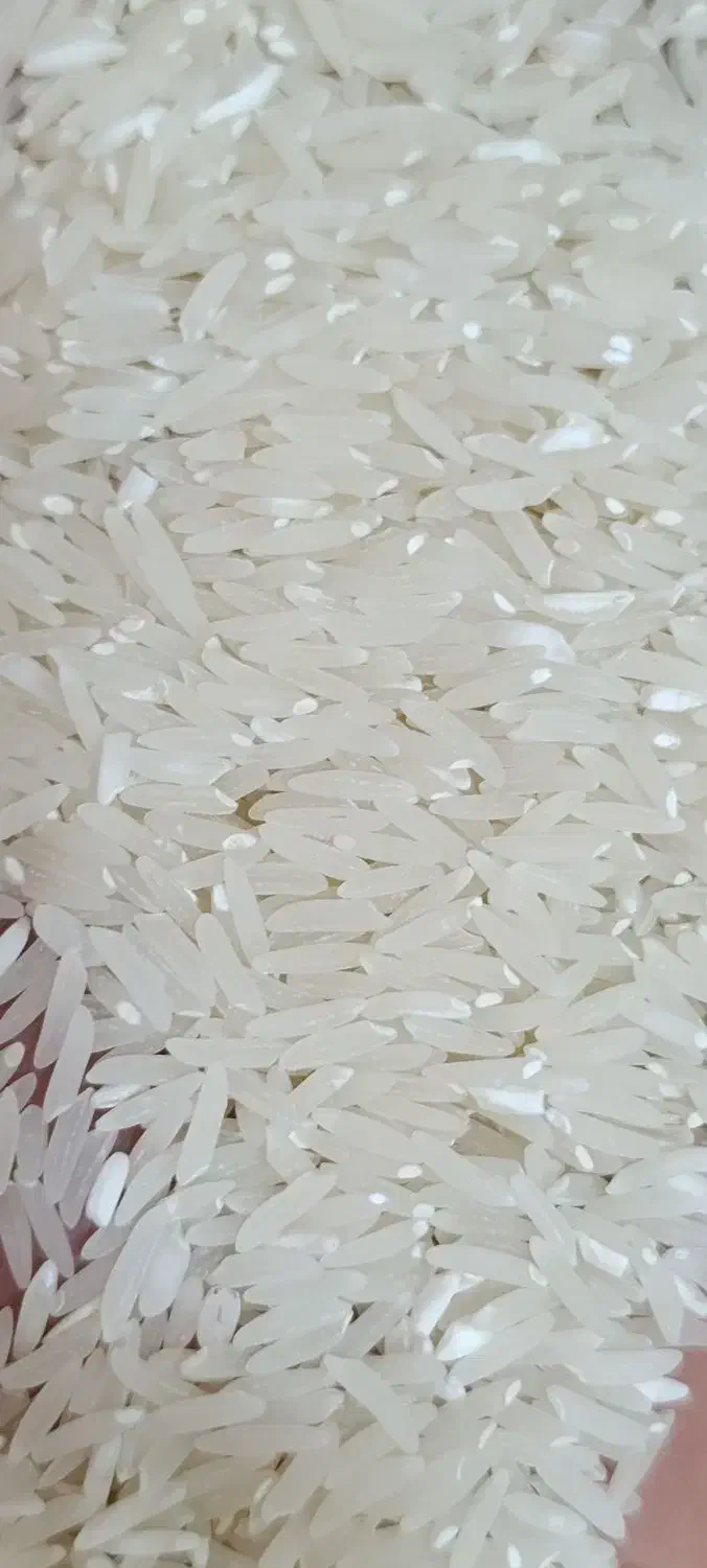 برنج درجه یک فجر طارم|خوردنی و آشامیدنی|گیلان غرب, |دیوار