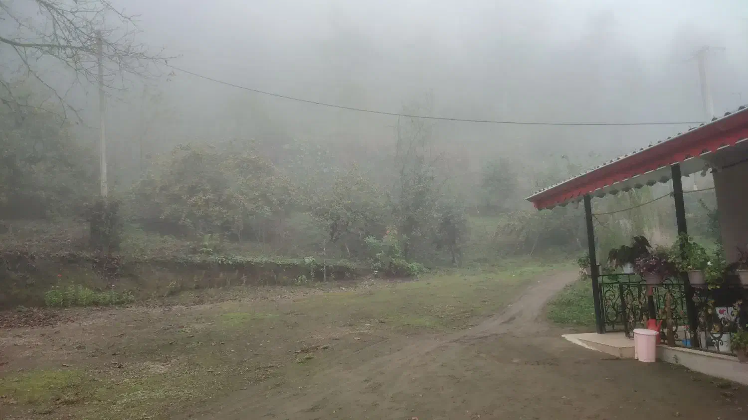 زمین فروشی در تالش، خطبهسرا (شوکیز مشایخ)|فروش زمین و ملک کلنگی|لیسار, |دیوار