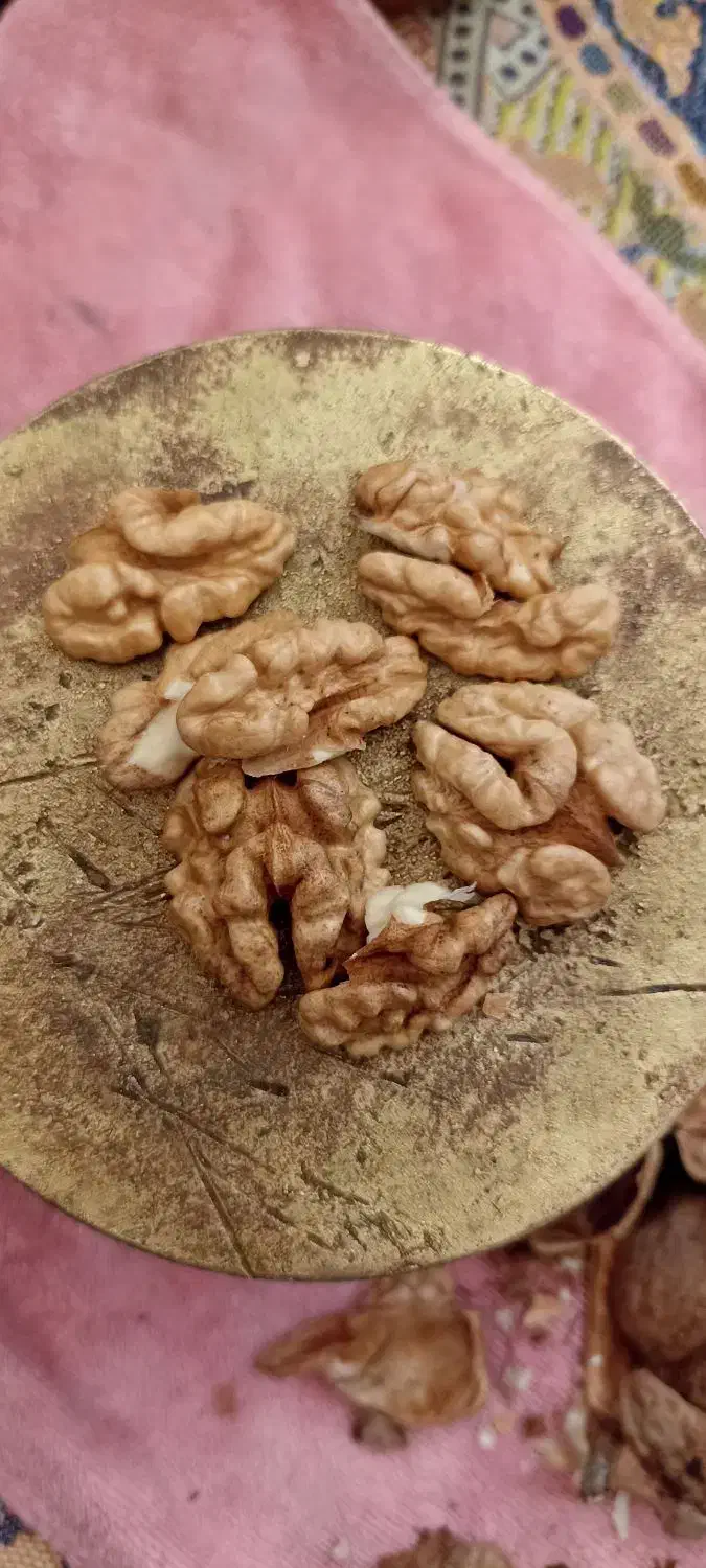 گردو|حراج|سلماس, |دیوار