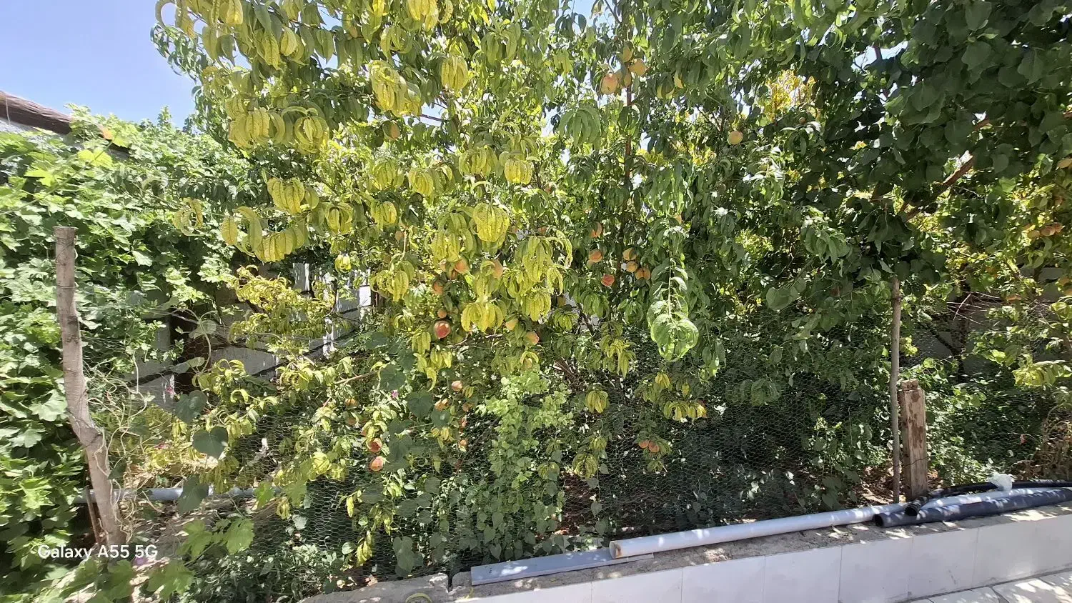 خونه باغ ویلایی چادگان محله مندرجان|فروش خانه و ویلا|چادگان, |دیوار