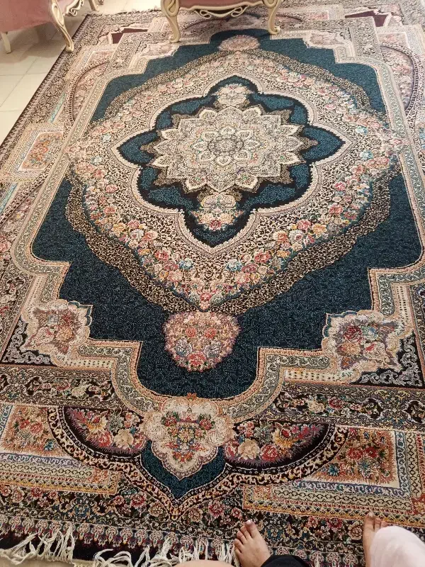 فروش فرش|فرش|شیراز, گویم|دیوار