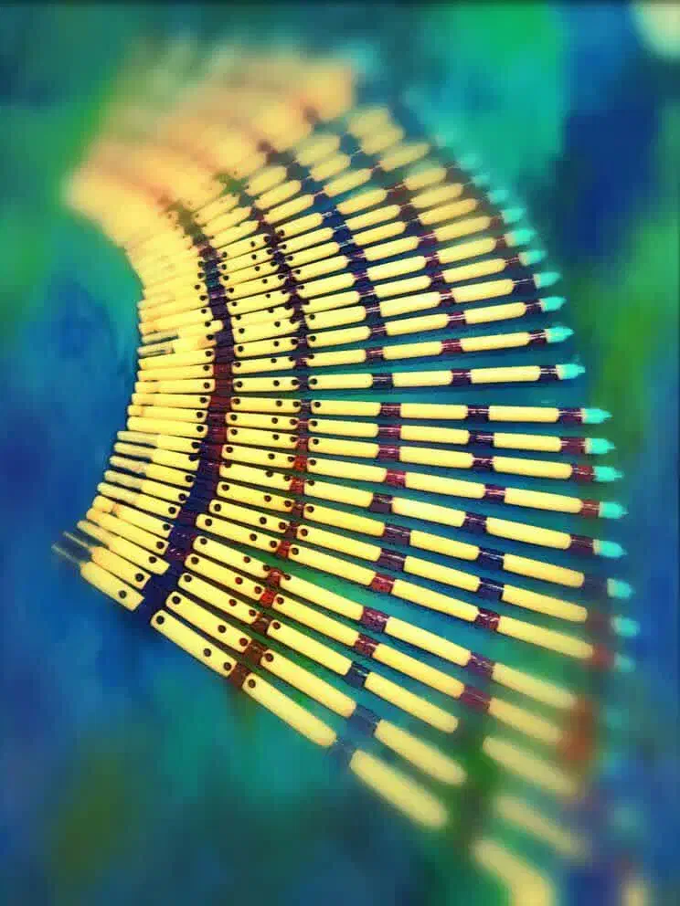 نی کلهر|سازهای بادی|قم, چهل اختران|دیوار