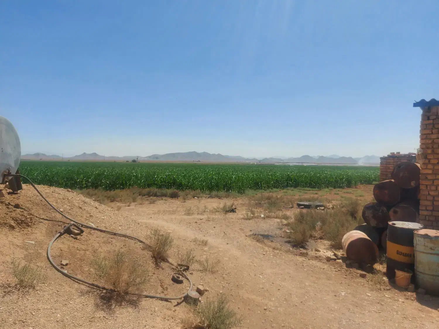 فروش زمین ۸۵ هکتار در فدک|فروش زمین و ملک کلنگی|شاهین‌شهر, فدک|دیوار