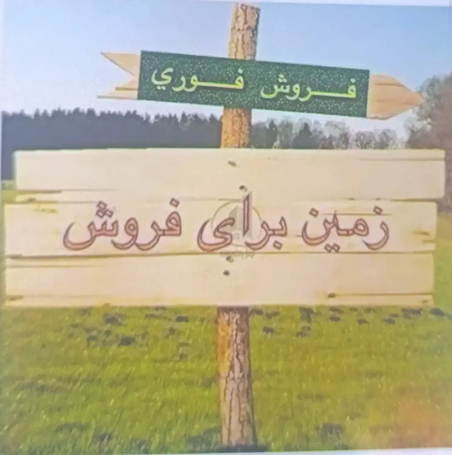 زمین ویلایی 1000متری  در مجموعه ویلایی|فروش زمین و ملک کلنگی|شوشتر, |دیوار