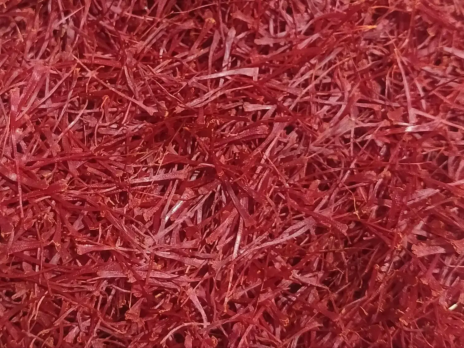 زعفران کلی و جزعی|عمده‌فروشی|تربت‌حیدریه, پایانه مسافربری تربت حیدریه|دیوار