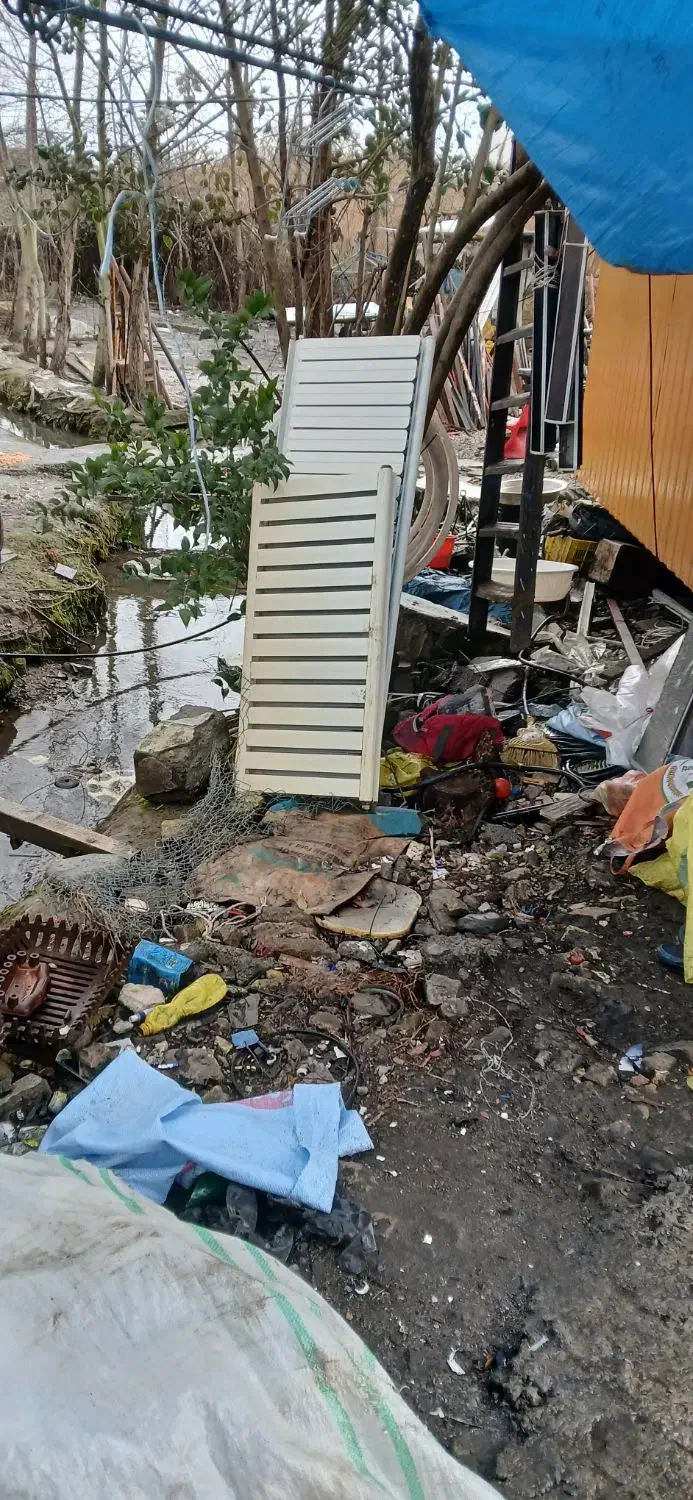 رادیات شوفاژ سالم|آبگرمکن، پکیج، شوفاژ|تنکابن, |دیوار