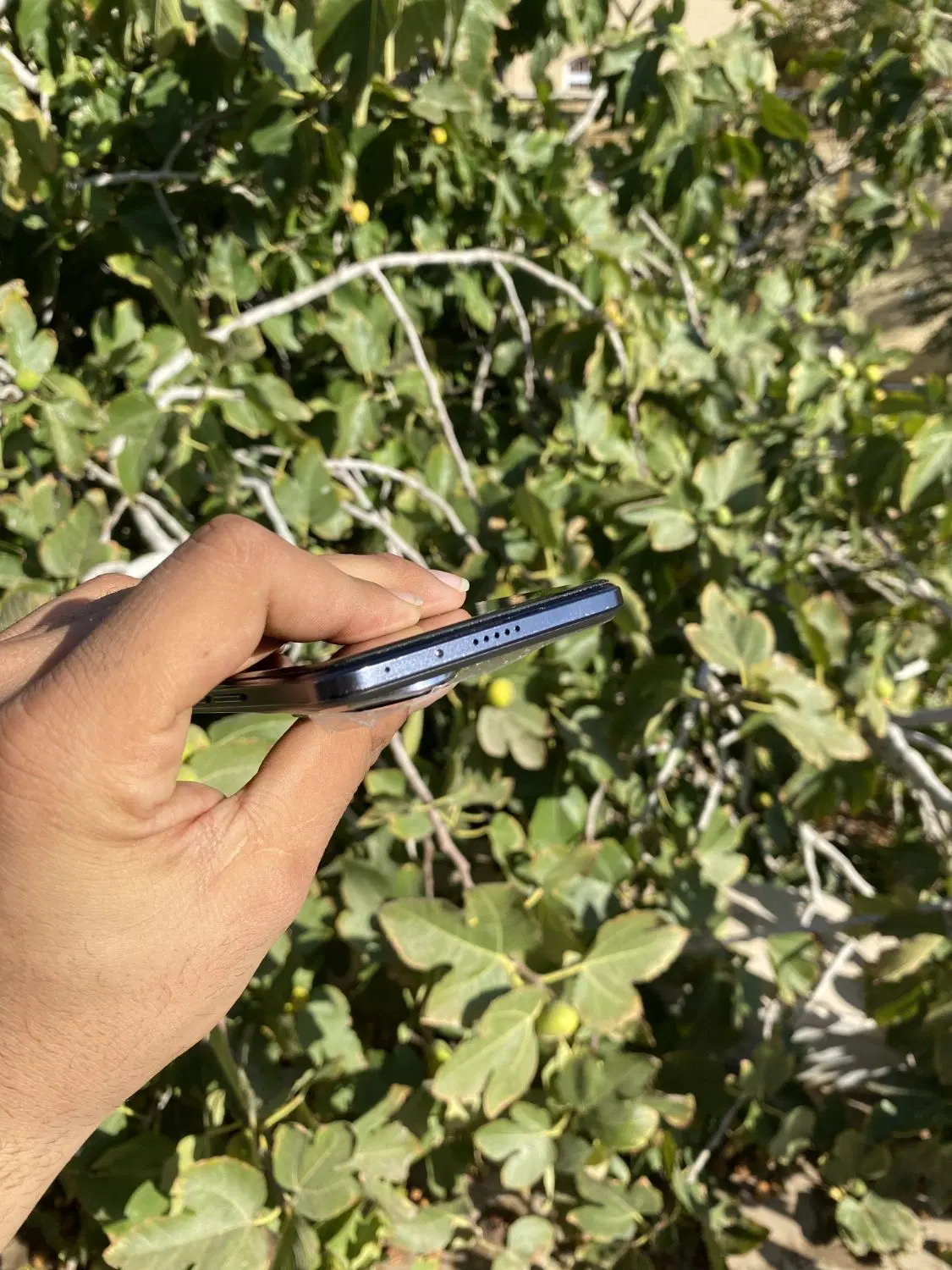 Honor 200|موبایل|کرمان, |دیوار