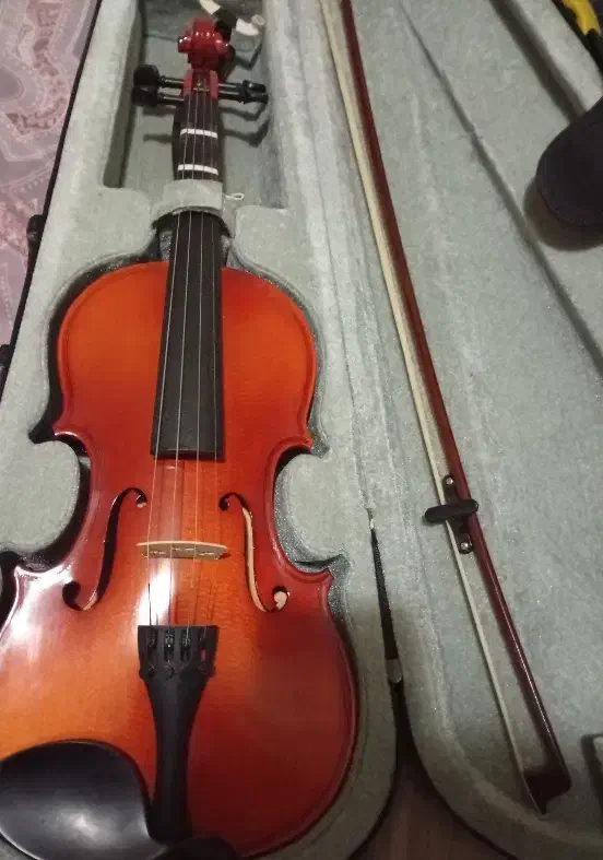 ویولن تی اف مبتدی و نیمه مبتدی|ویولن|تهران, حکیمیه|دیوار