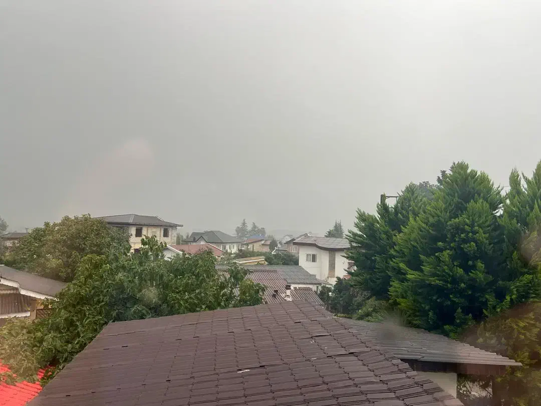 اجاره واحد ۹۰متری دانیال|اجارهٔ آپارتمان|سلمان‌شهر, |دیوار