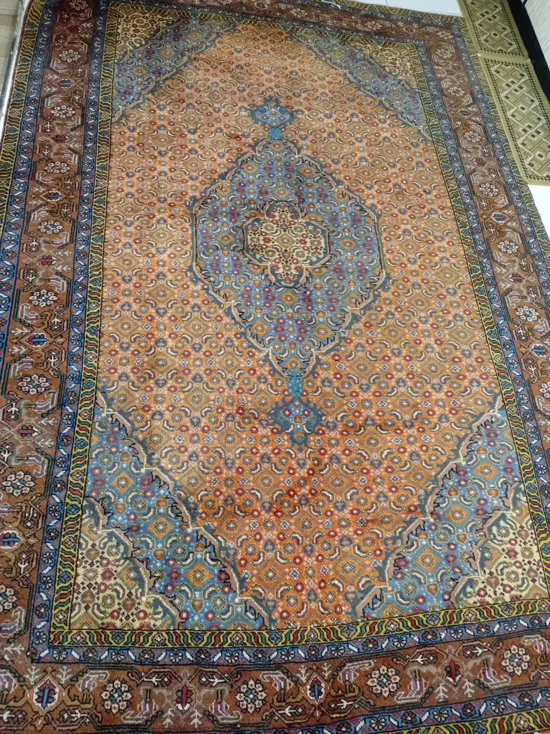 ۱ جفت فرش دستبافت ریز ماهی اصیل|فرش|اردبیل, |دیوار