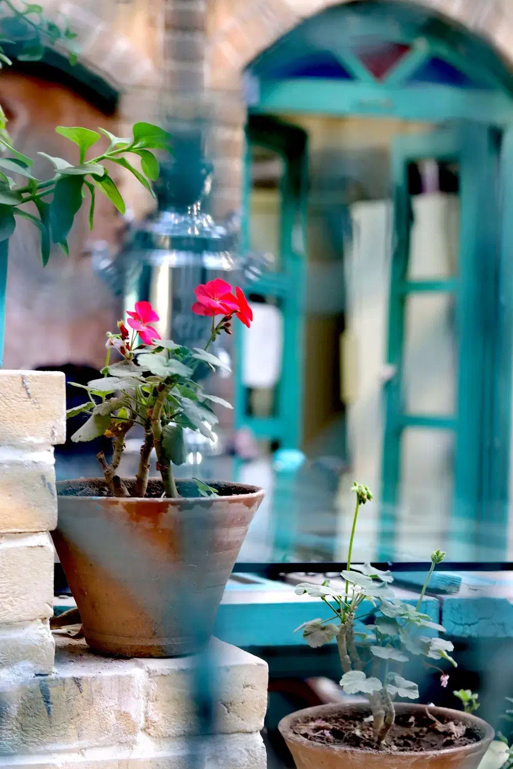 عکاسی|خدمات پذیرایی، مراسم|همدان, |دیوار