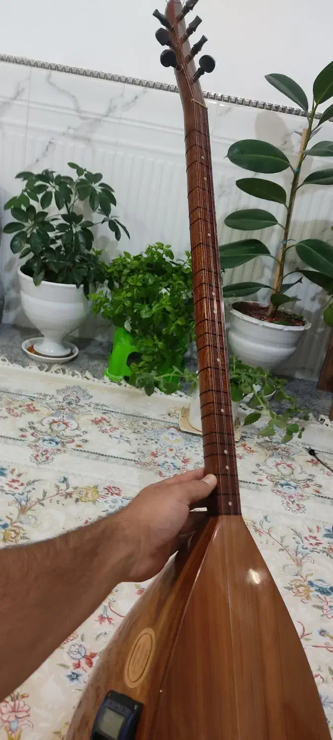 باغلاما (دیوان ) حرفه ای با متعلقات|سازهای سنتی|آباده, |دیوار