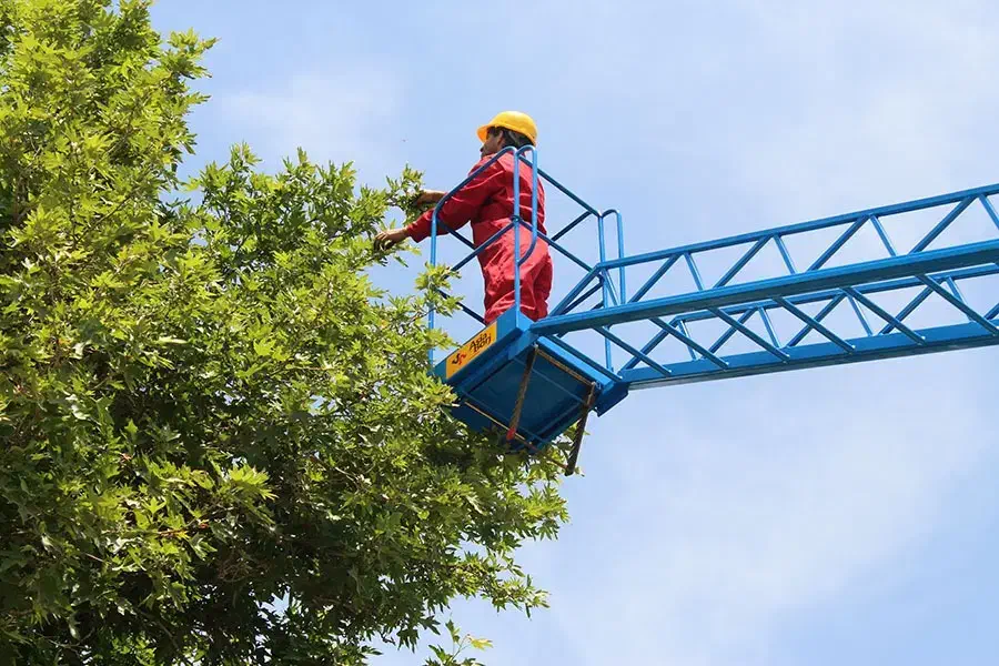 بالابر نردبان کشویی ۱۷متری|ماشینآلات صنعتی|ارومیه, |دیوار