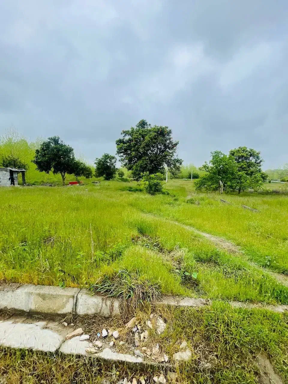 زمین سند شش دانگ‌ با مجوز ساخت|فروش زمین و ملک کلنگی|امامزاده عبدالله, |دیوار