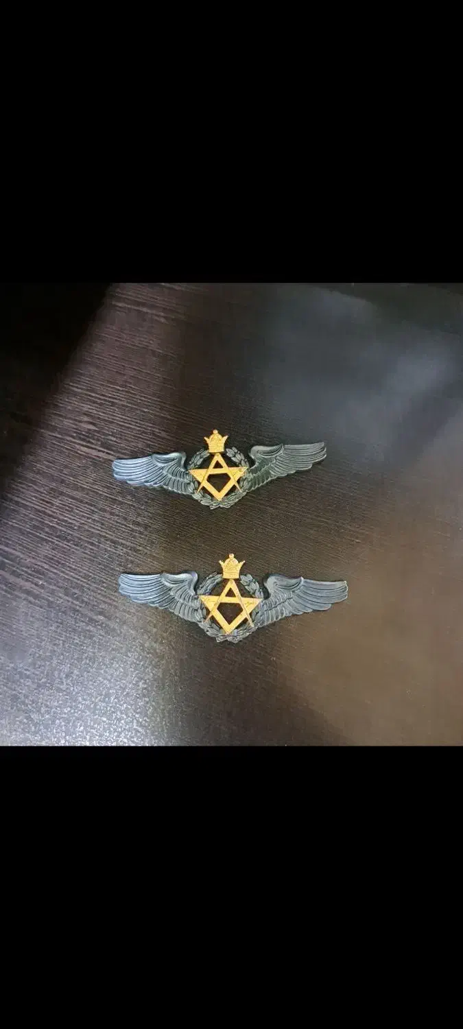 وینگ فلزی ضرب ایتالیا|کلکسیون اشیاء عتیقه|فولادشهر, B2|دیوار