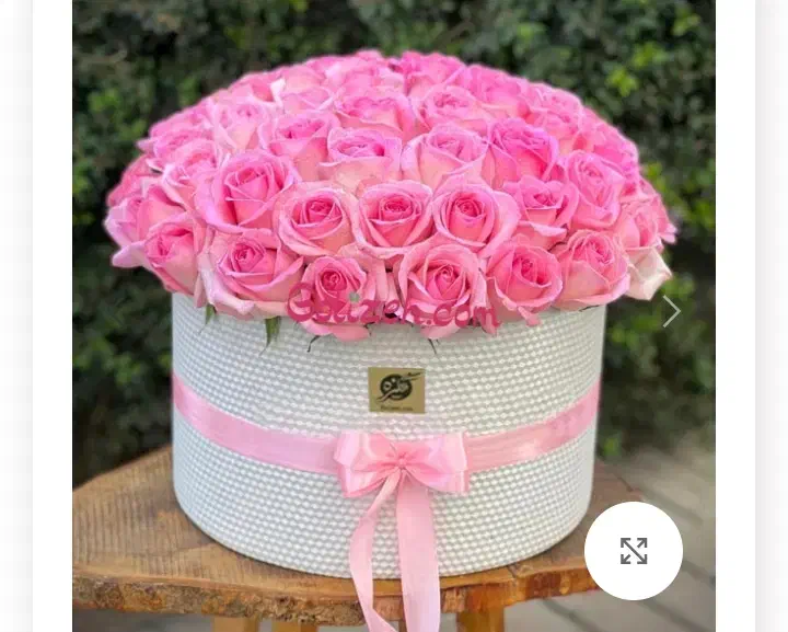 گل طبیعی|گل و گیاه طبیعی|زابل, |دیوار