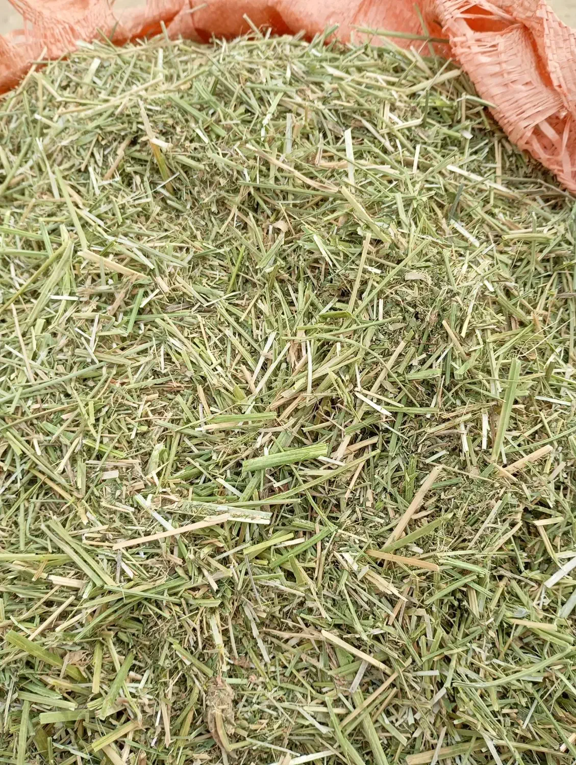 فروش یونجه درجه یک وبلوط|عمدهفروشی|رامهرمز, |دیوار