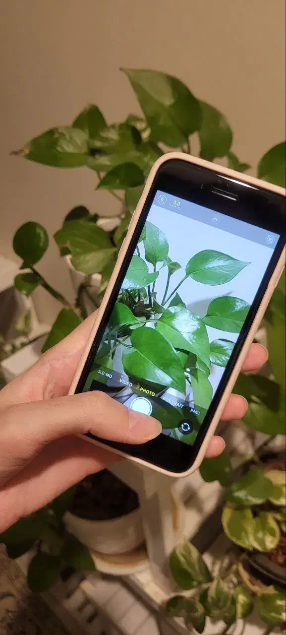 ایفونse 2020|موبایل|قم, جهان بینی|دیوار