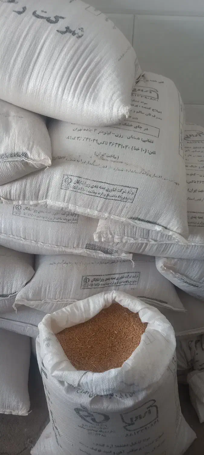 گندم|خوردنی و آشامیدنی|قم, شهرک فاطمیه|دیوار