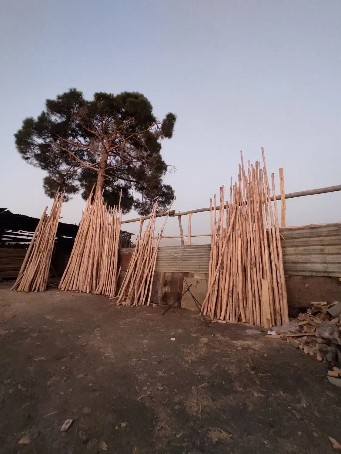 فروش انواع نردبان چوبی و درب چوبی|عمدهفروشی|مشکیندشت, |دیوار