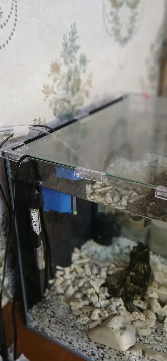 آکواریوم اکواریوم ۳بعدی شیک|ماهی|مشهد, سرافرازان|دیوار