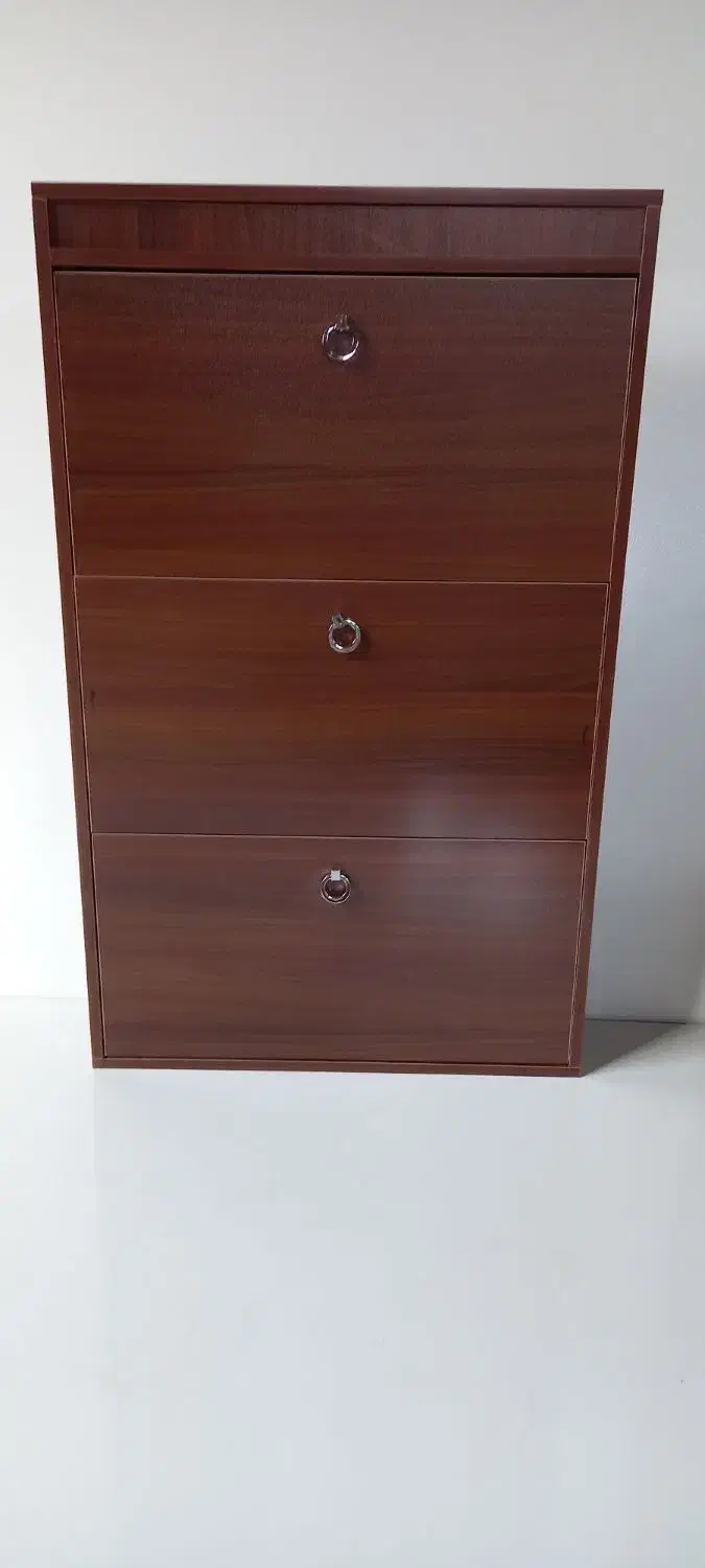 جاکفشی آپارتمانی نو تحویل رایگان|جاکفشی، کمد، دراور|مشهد, بهمن|دیوار