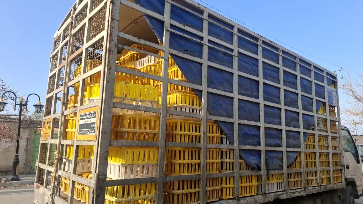 اتاق مرغی ایسوزو هشت تن|خودرو سنگین|مرند, |دیوار