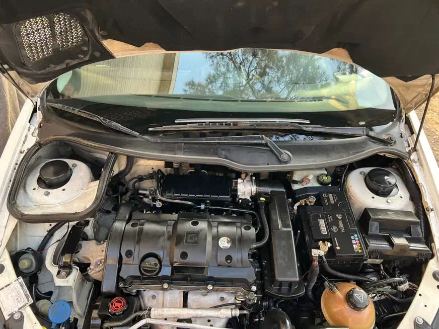 ماشین سواری پژو 206 تیپ 5|خودرو سواری و وانت|تهران, کرمان|دیوار