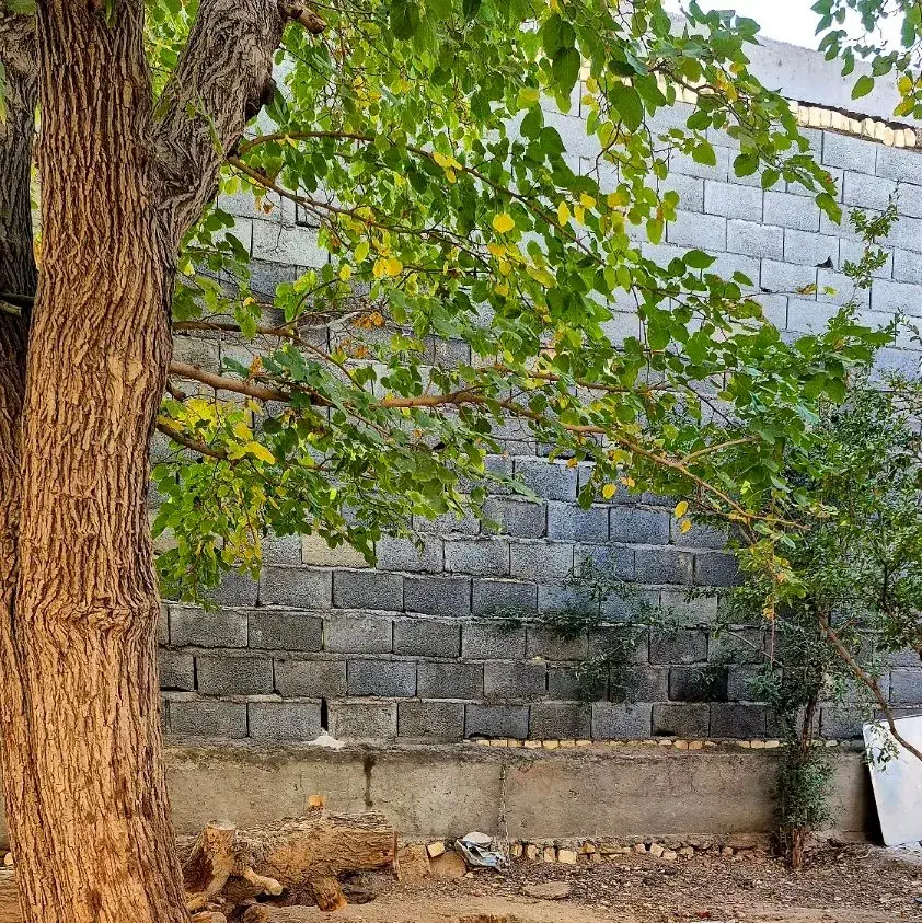 خانه ویلایی قدیمی|اجارهٔ خانه و ویلا|شاهینشهر, گرگاب|دیوار