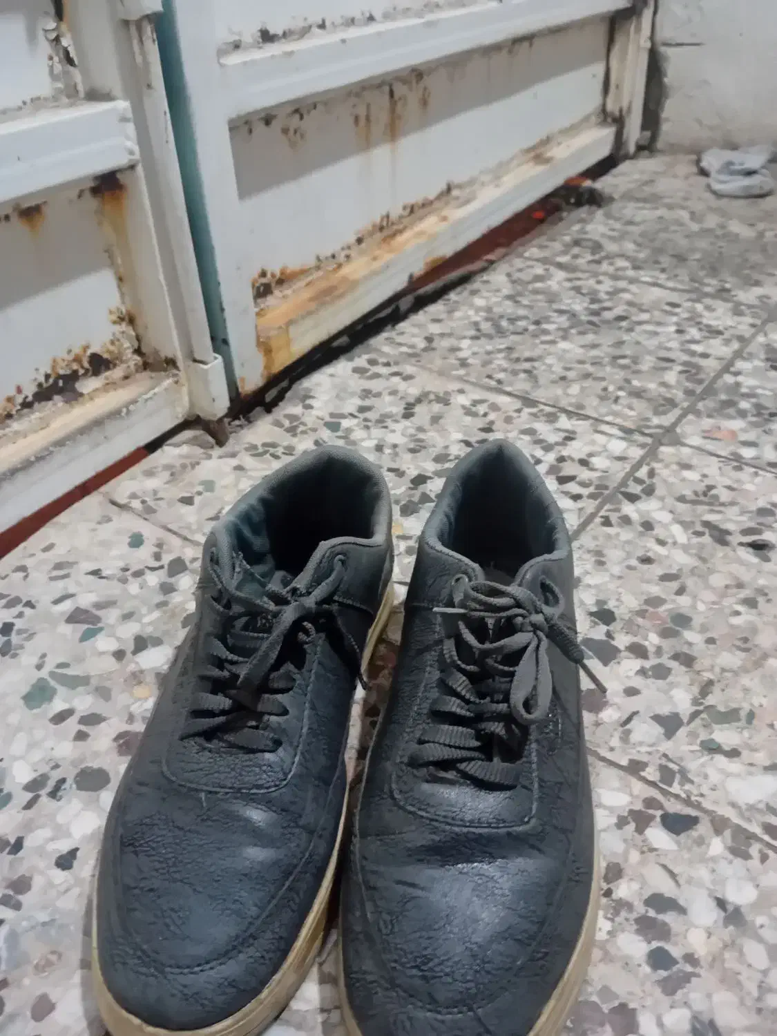 سه جفت کفش نو|کیف، کفش، کمربند|دزفول, |دیوار