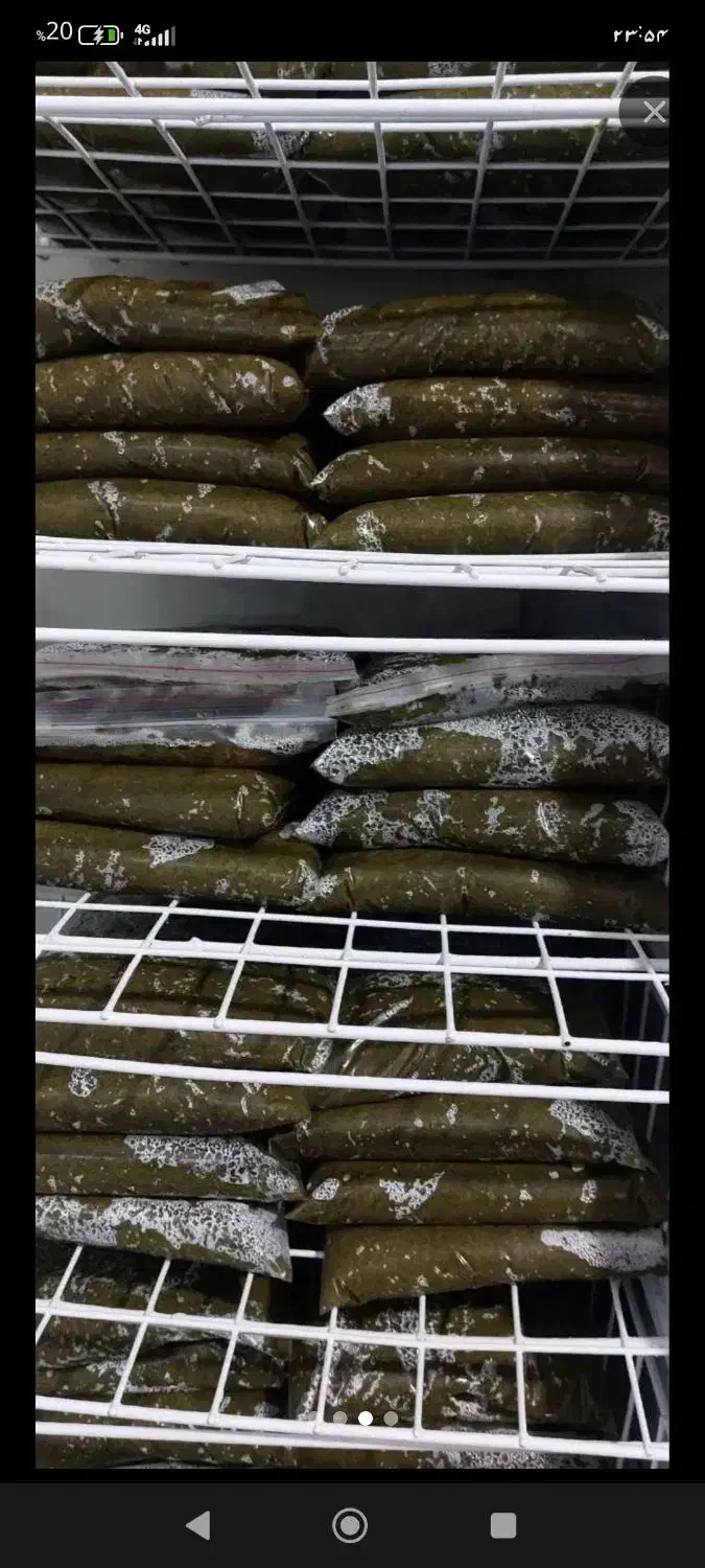 خورشتی جنوب|خوردنی و آشامیدنی|شاهین‌شهر, شهرک مطهری|دیوار