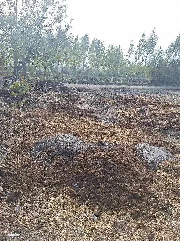 کارگر جهت کار در دامداری بصورت اسکان|استخدام سرایداری و نظافت|کردکوی, |دیوار