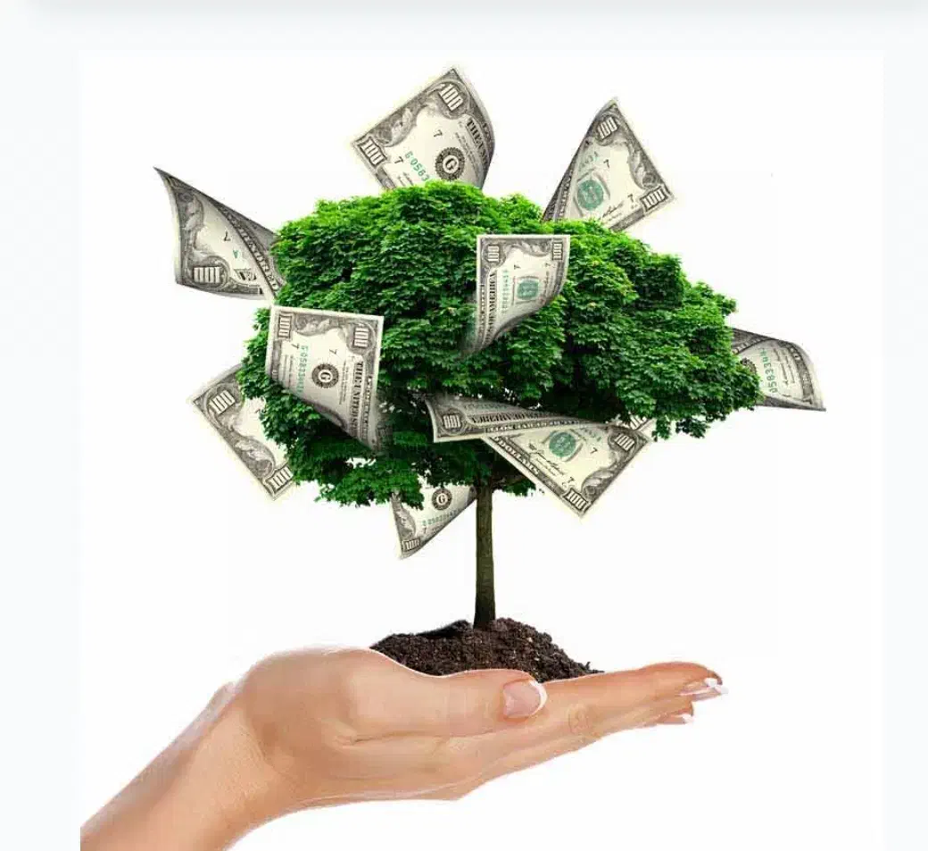 سرمایه گذاری میشود|خدمات مالی، حسابداری، بیمه|رشت, منظریه|دیوار