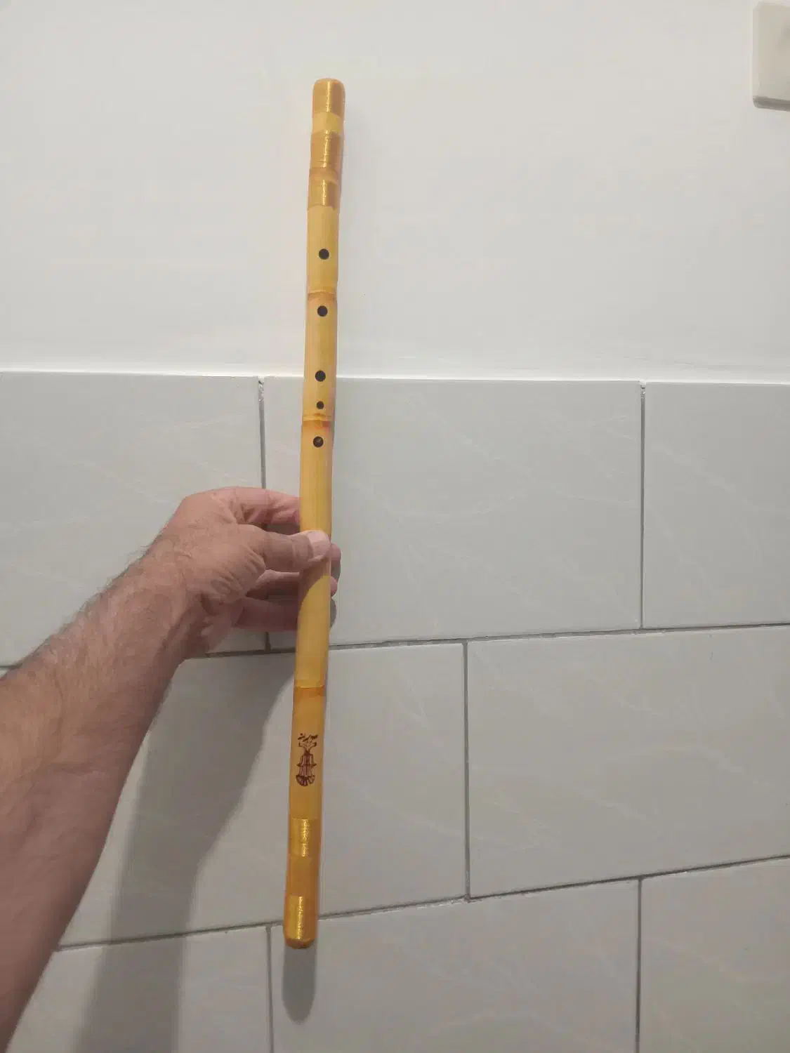 فروش نی لبی|سازهای بادی|بروجن, |دیوار