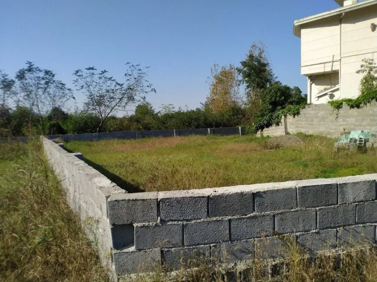 ۳۵۰متر زمین مسکونی بلوار سرولات قابل تهاتر|فروش زمین و ملک کلنگی|چابکسر, |دیوار