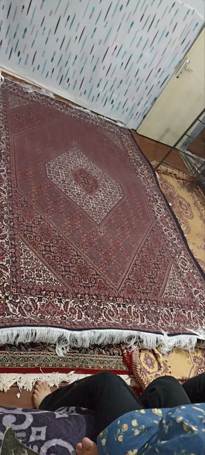 ۶متری|فرش|زنجان, |دیوار