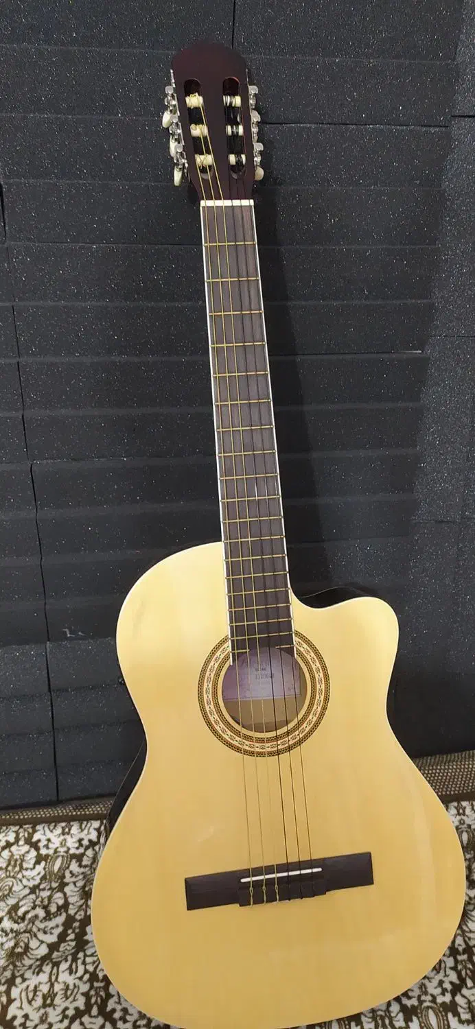 گیتار والنسیا پیکاپ دار|گیتار، بیس، امپلیفایر|رشت, گلسار|دیوار