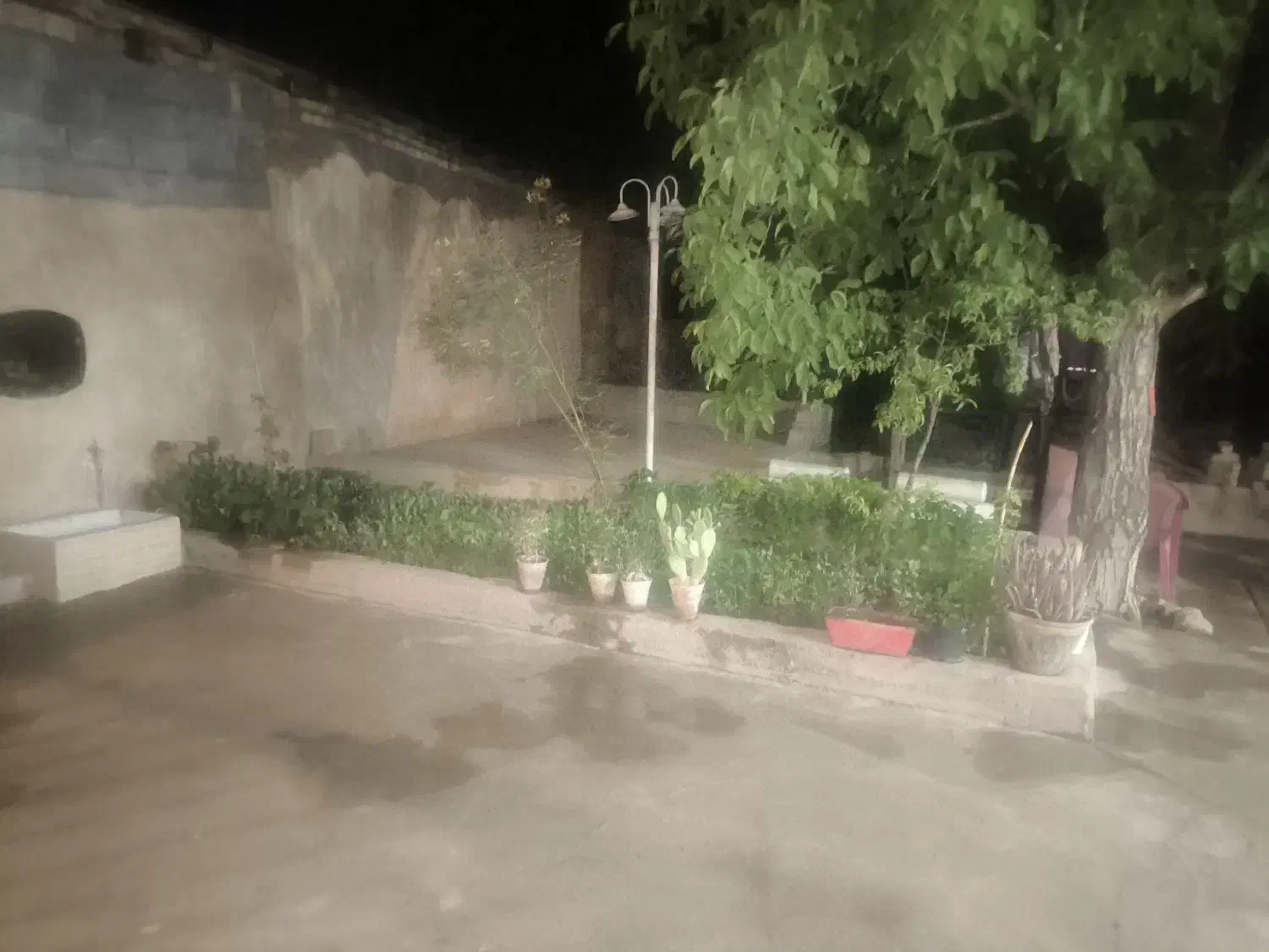 اجاره باغ روزانه|اجارهٔ کوتاه‌مدت ویلا و باغ|شهرضا, |دیوار